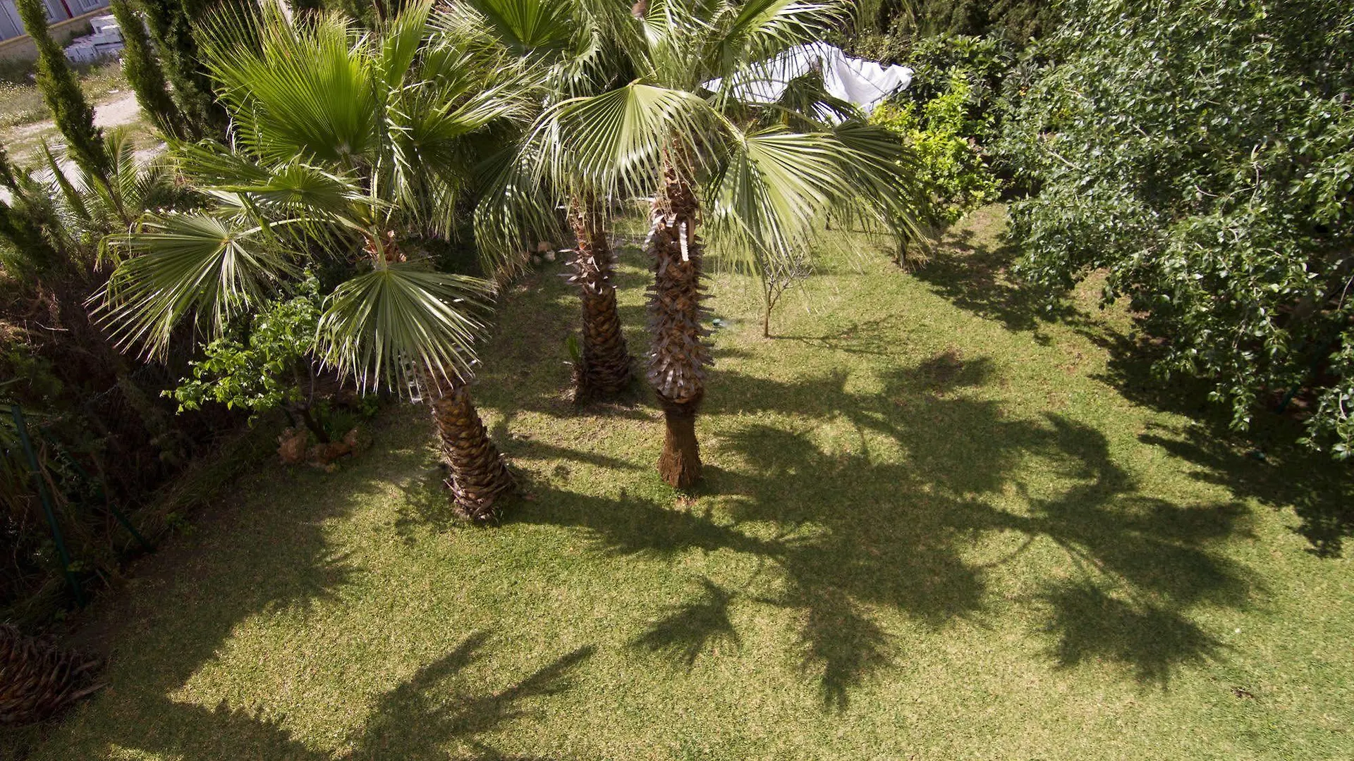 B&B Villa Pergola Nerja